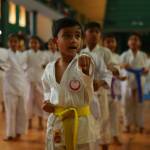 Nochikan Karate International