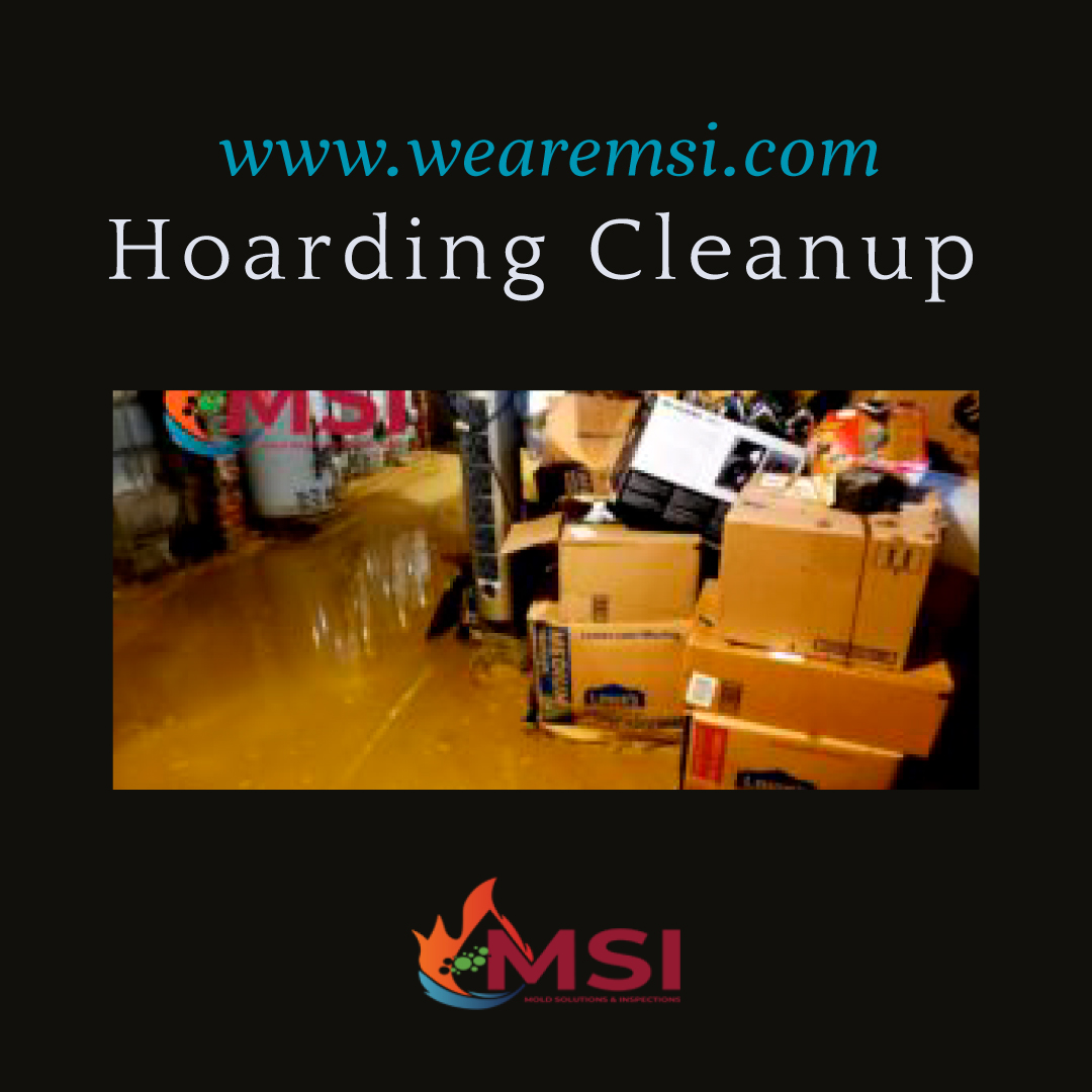 Confronting the Emotional Toll of Hoarding: 5 Stories of Triumph: wearemsi0 — LiveJournal