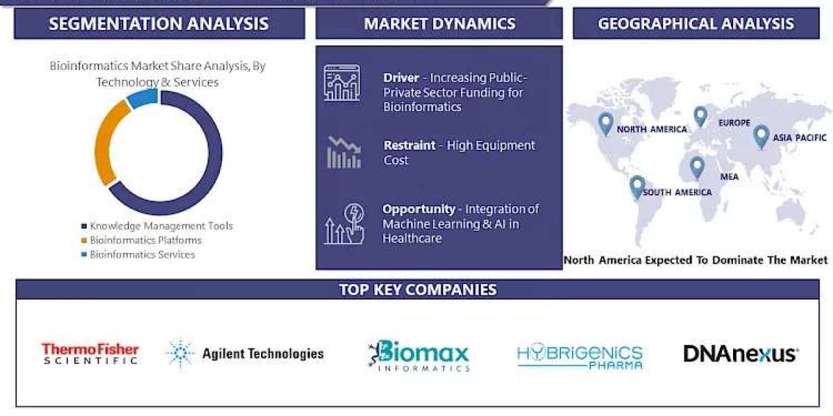 Bioinformatics Market Charting the Path Ahead: Market Report and Forecast for 2030