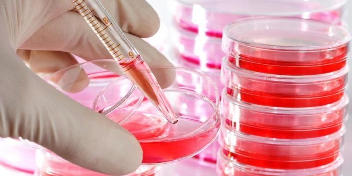 Global Cell And Tissue Culture Supplies Market Size, Share, Trend and Forecast 2021–2030.