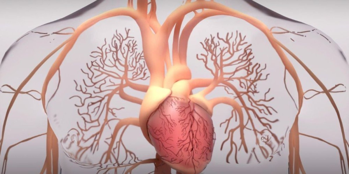 Pulmonary Arterial Hypertension Market Overview: Insights and Forecast Till 2028