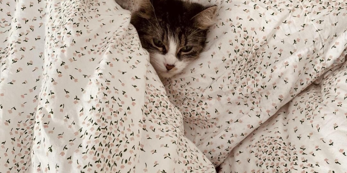 Feline Comfort: How Weighted Blankets Help Cats Relax