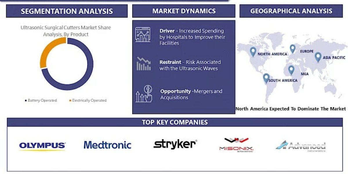 Ultrasonic Surgical Cutters Market Unveiling Market Insights: Size, Share, and Growth Status by 2030