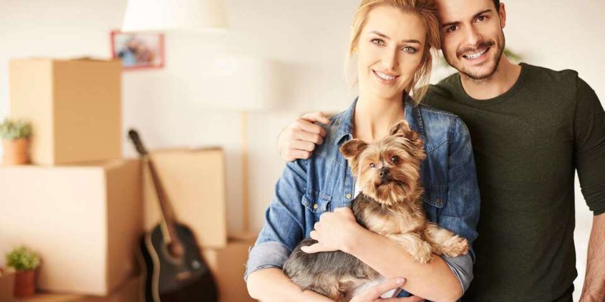 Pet Relocation: An Essential Guide for Safe Moves with Your Furry Friends