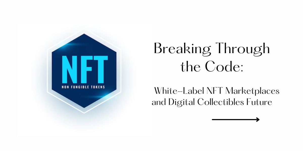 Breaking Through the Code: White-Label NFT Marketplaces and Digital Collectibles Future