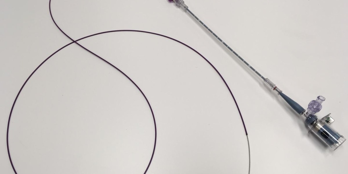 Cardiovascular Catheters Market Intelligence and Trends [2023-2031] Report