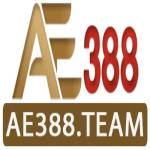 AE388 Team