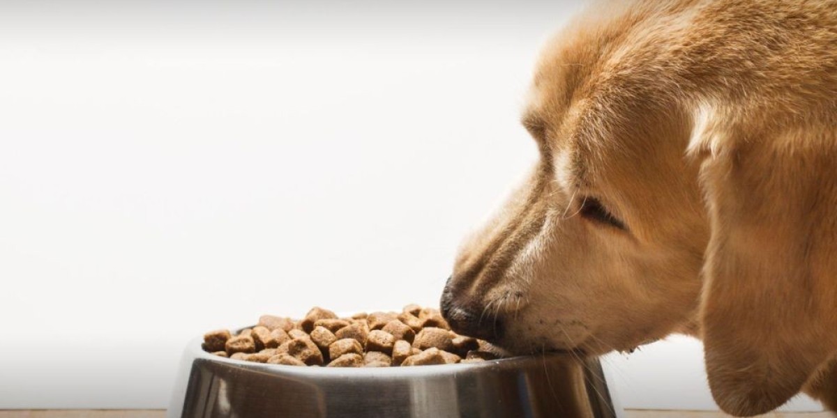 Pet Meal Kit Delivery Services Market Overview and Trends for 2028