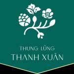 Thanh Xuan Valley