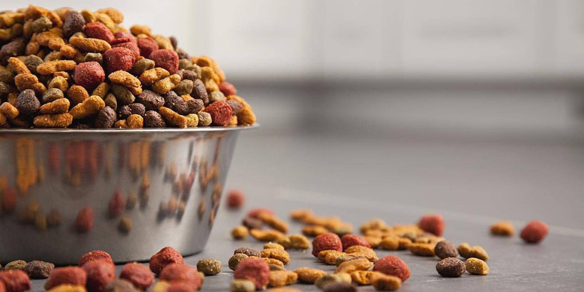Pet Food Market Trends and Growth Prospects by 2028