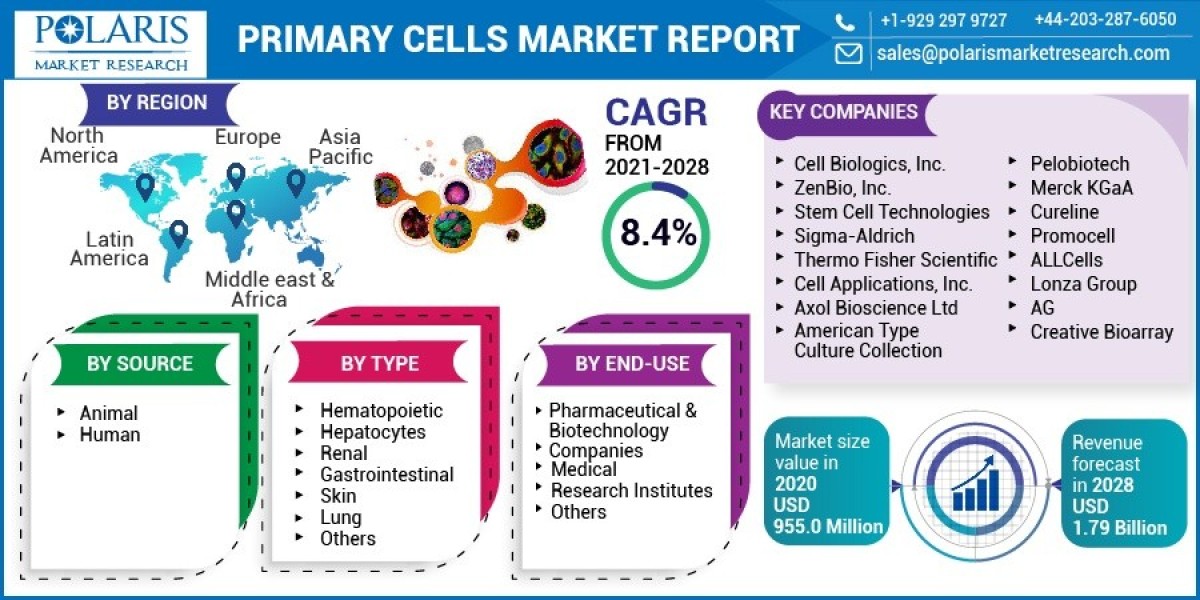 Primary Cells Market Research Excellence: Best Practices and Case Studies 2023-2032