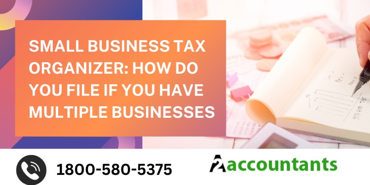 Small Business Tax Organizer: How Do You File If You Have Multiple Businesses