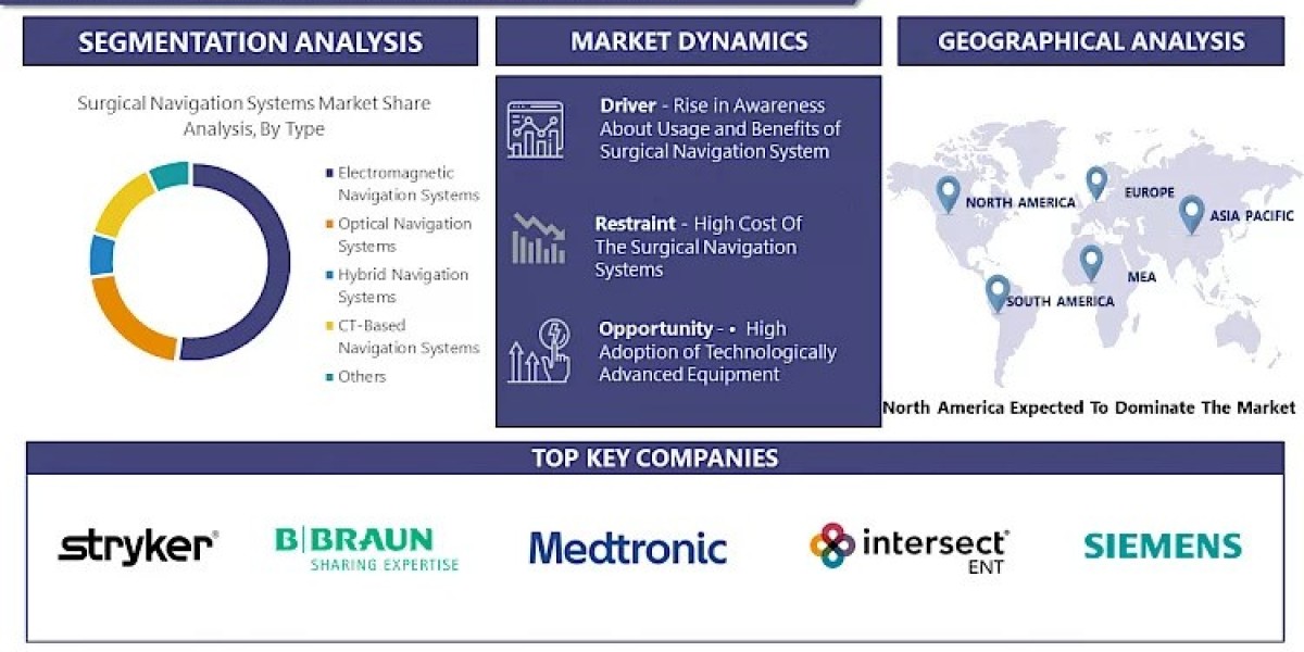 Surgical Navigation Systems Market Exploring Market Trends and Growth: A 2030 Forecast Report