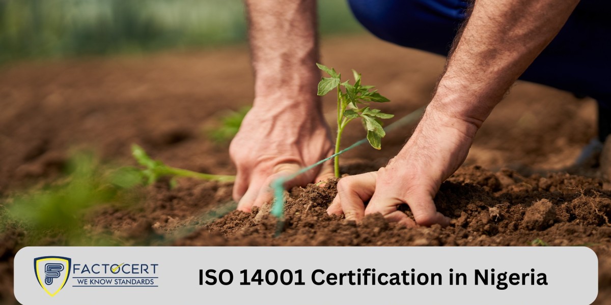 What is the process for ISO 14001 Certification In Nigeria?
