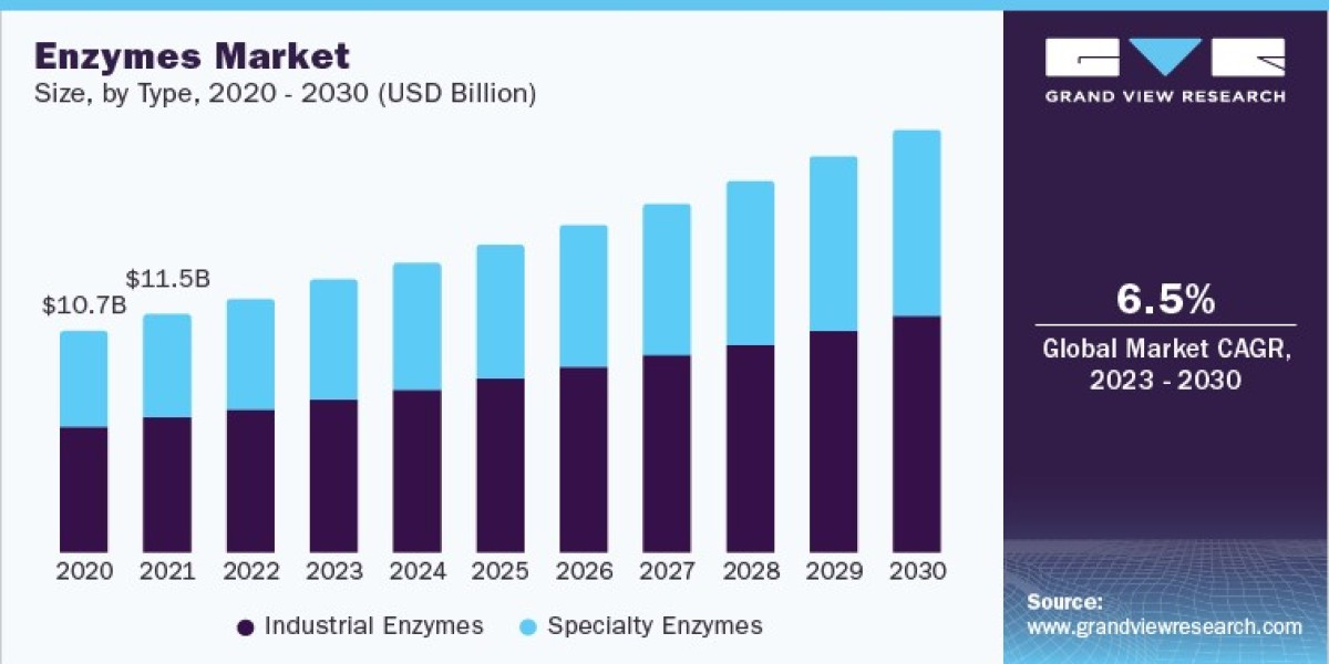 Breaking Down the Opportunities and Challenges of the Enzymes Industry
