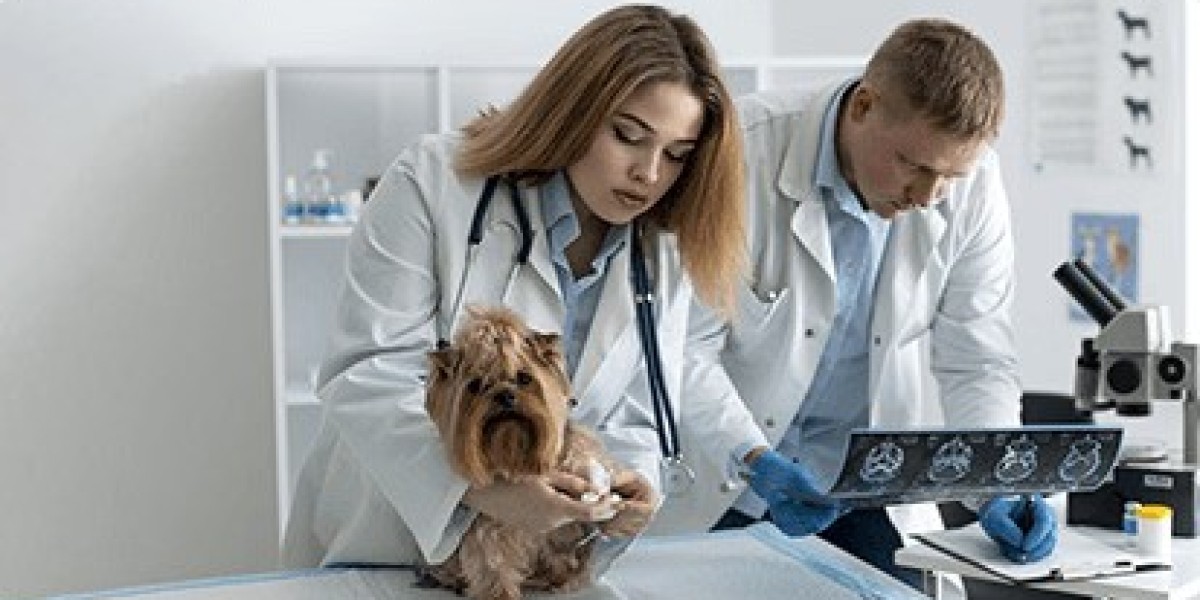 Why are veterinarians increasingly adopting Veterinary Practice Management solutions?
