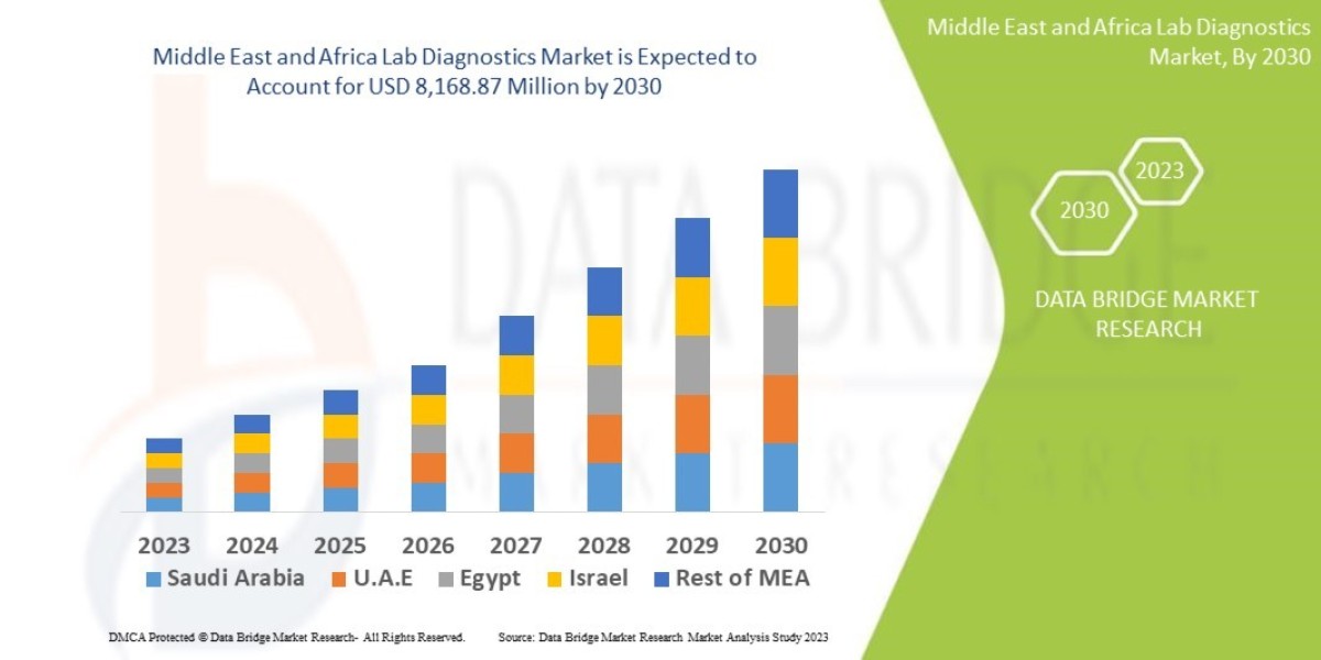 Middle East and Africa Lab Diagnostics Market Key Opportunities and Forecast by 2030