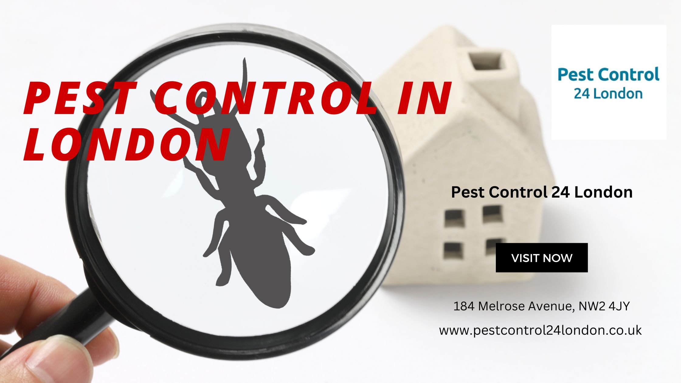 Pest Control 24 London | Expert Pest Control in London - Emergency Services Available - Bloglabcity.com