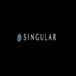 Singular Dex Global