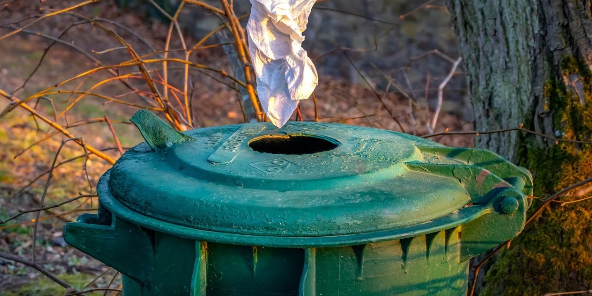 Dumpster Rental Companies' Green Disposal Practices