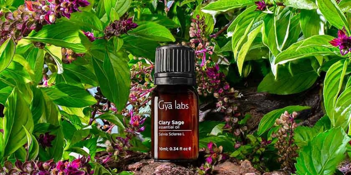 Discover the Magic of Aromatherapy: Buy GyaLabs Clary Sage Oil