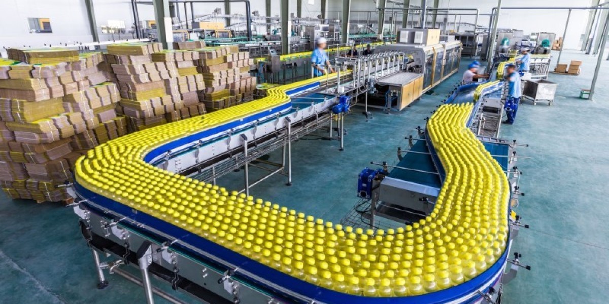 Industrial conveyor manufacturer in India