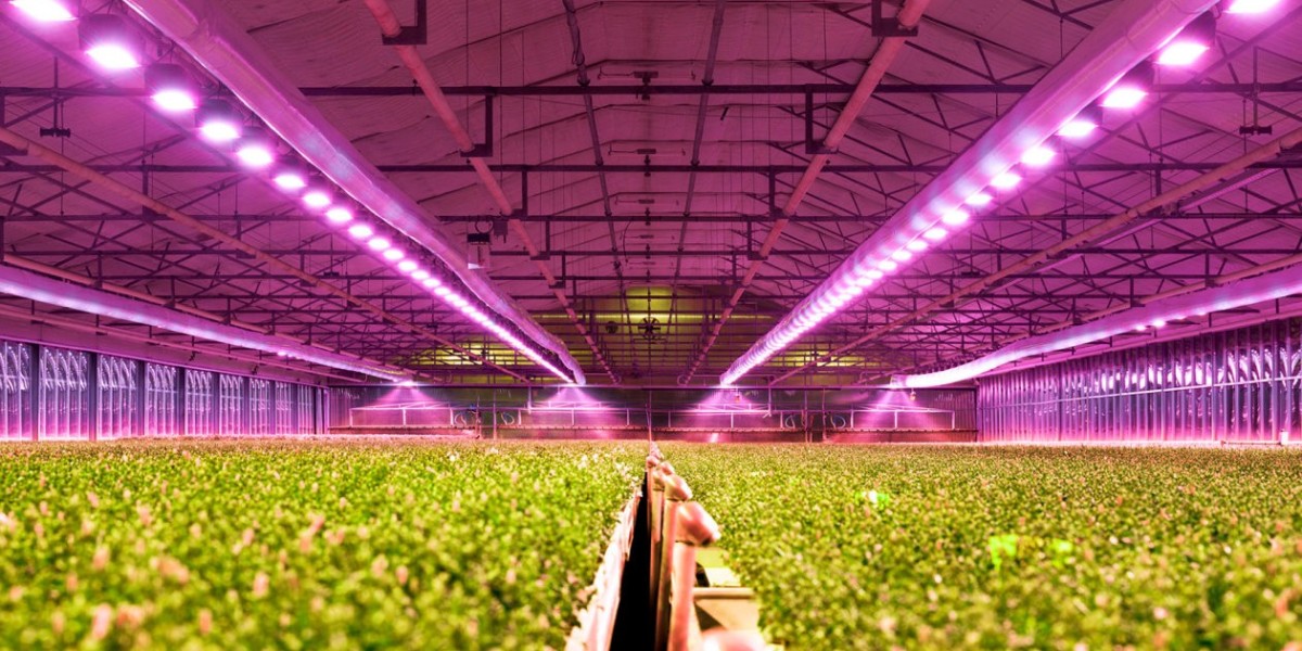 Horticulture Lighting Market Prospects by Size and Share | Value Chain Analysis and Forecast to 2032
