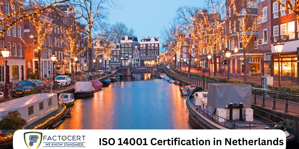 How ISO 14001 Certification in Netherlands Helps Small and Medium Sized Businesses