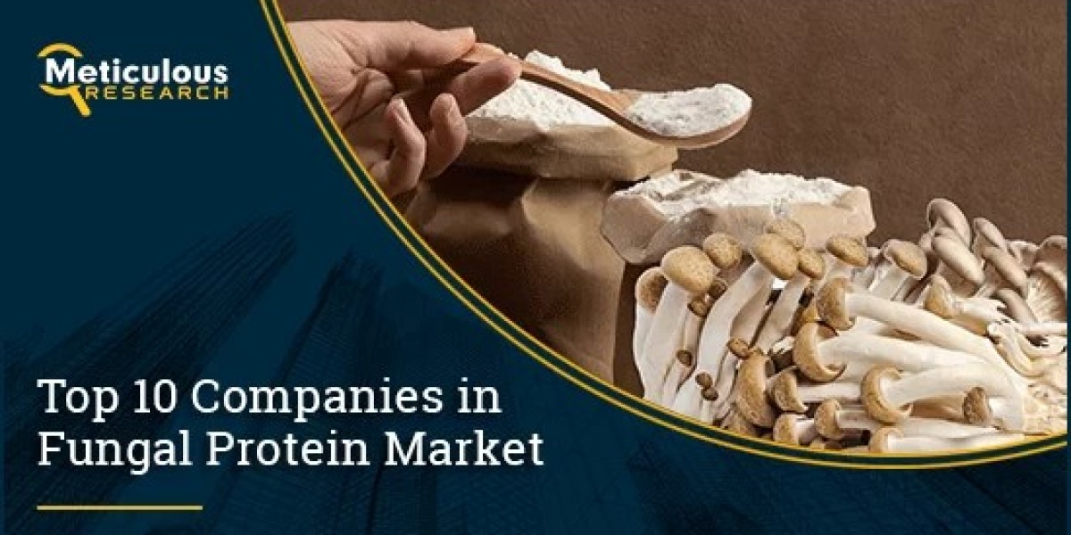 Fungal Protein Market Set to Reach USD 397.5 Million by 2029, Reveals Meticulous Research