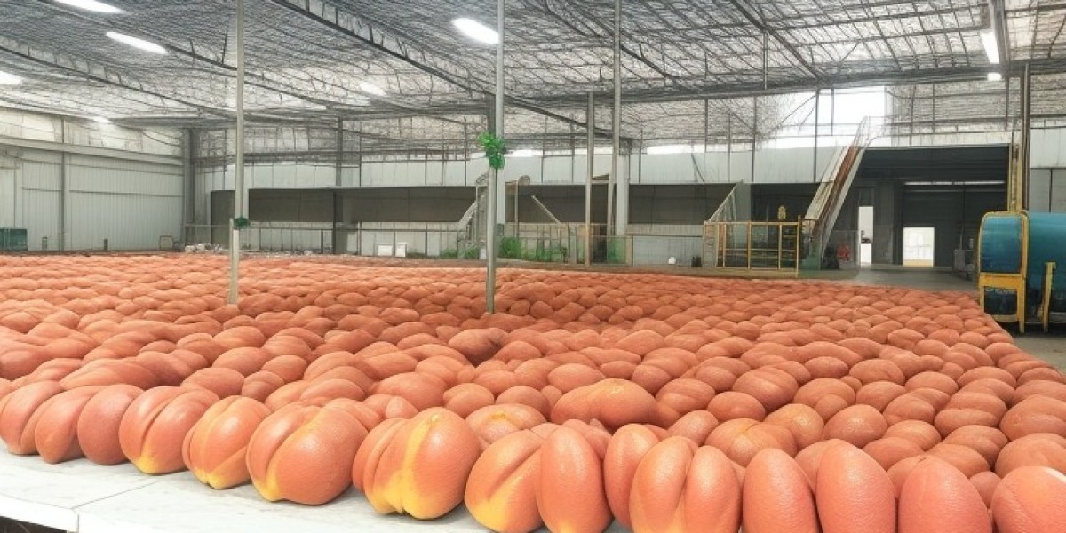 Mamey Sapote Processing Plant Project Report 2023, Revenue, Cost, Business Plan and Investment Opportunities