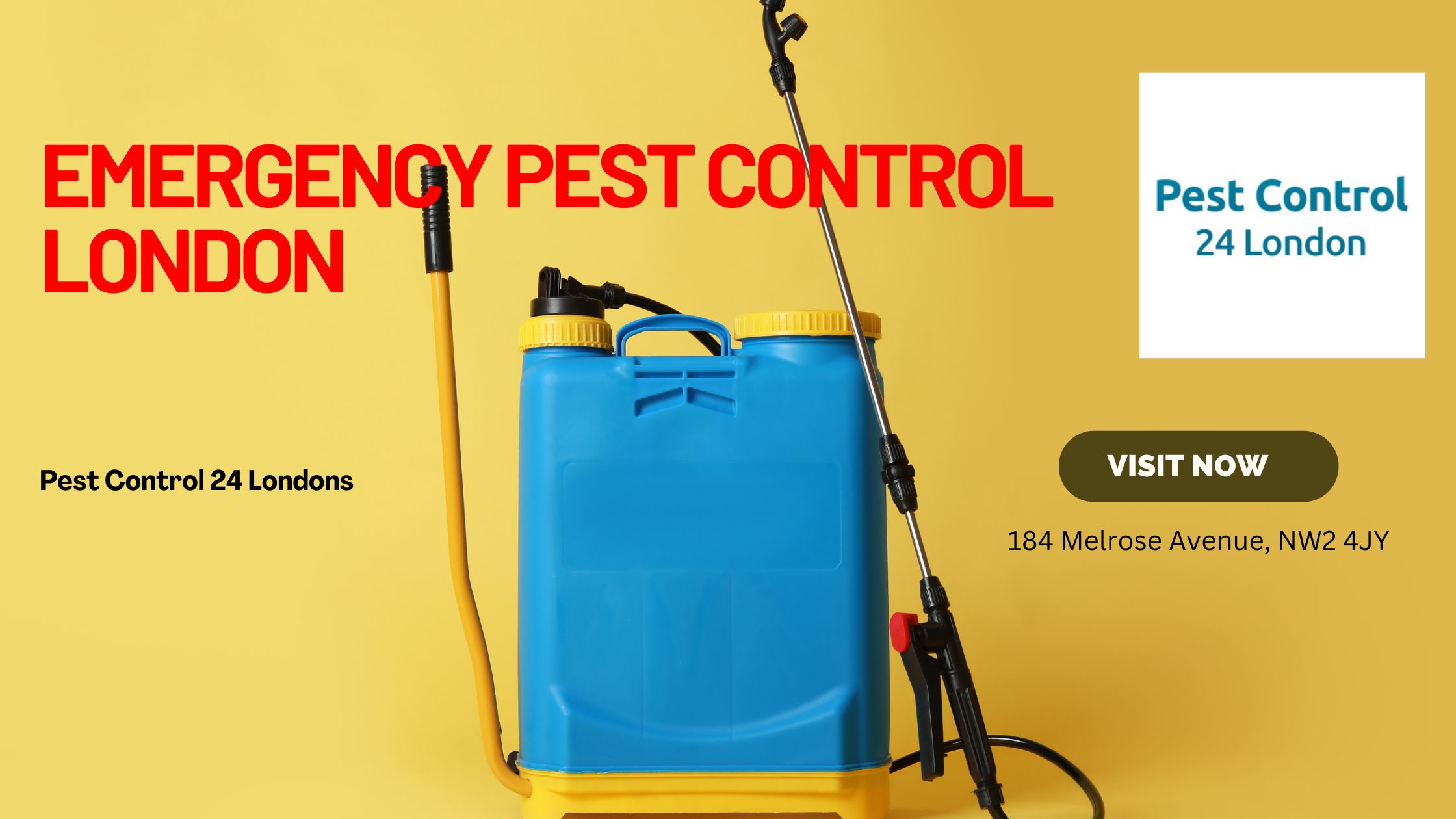 We take care of your pest problems with emergency pest control in London! - Routineblog.com