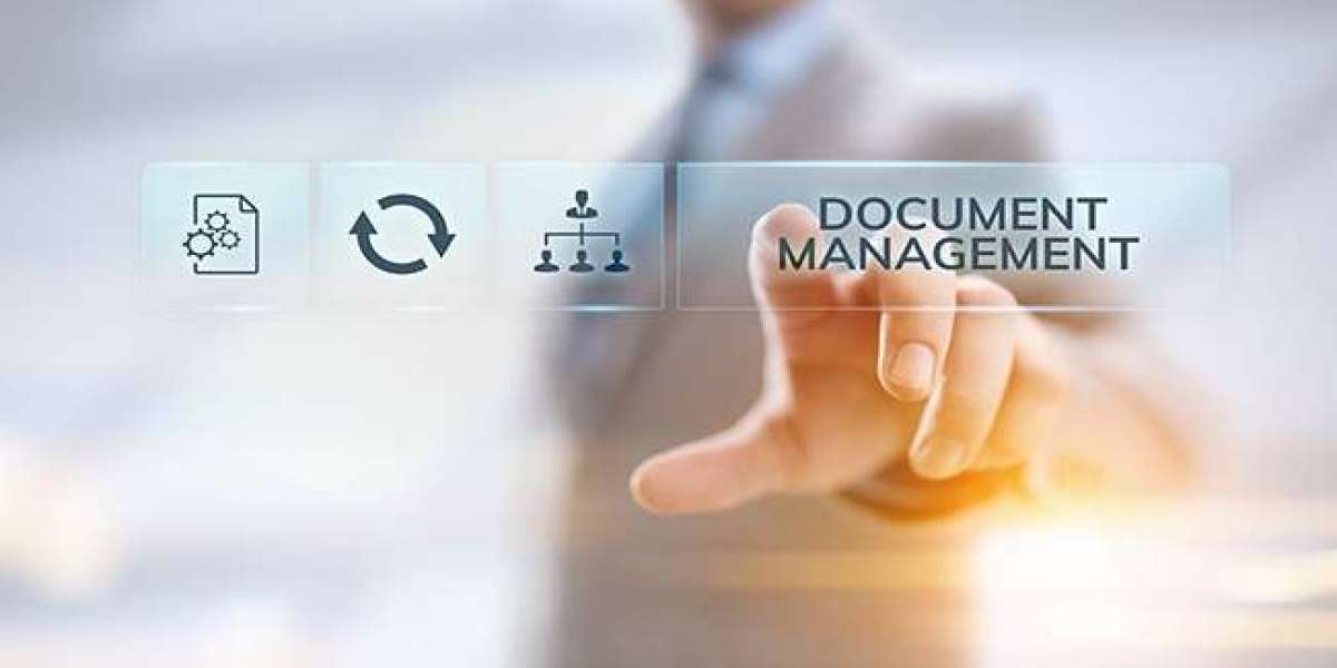 Document Management System Market Expands with Software Segment at a robust CAGR