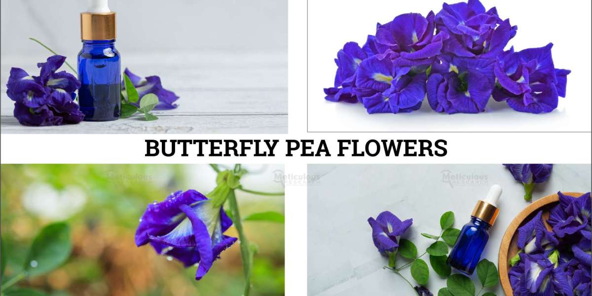Blossoming Beauty: Exploring the Vibrant World of the Butterfly Pea Flowers Market