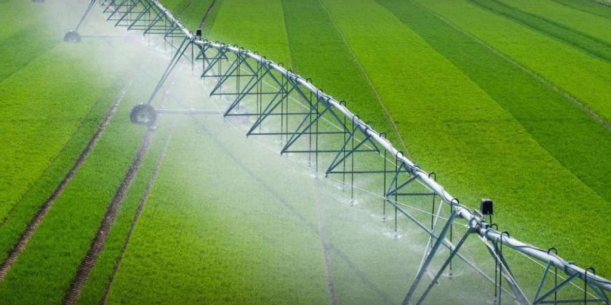 Center Pivot Irrigation Systems Market Prosperity: Forecasting the Harvest