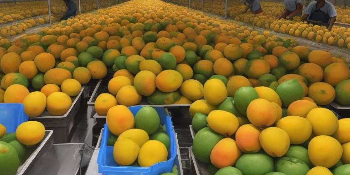 Mango Processing Plant Project Report 2023: Industry Trends, Plant Setup and Raw Materials