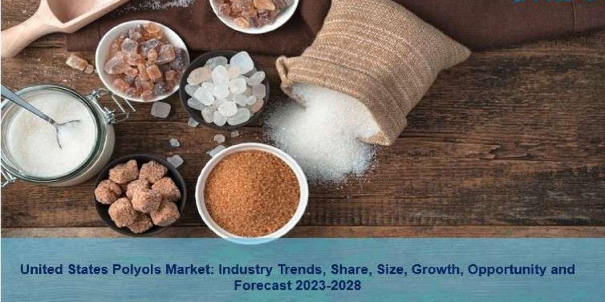 United States Polyols Market 2023 | Trends, Size, Demand and Forecast by 2028