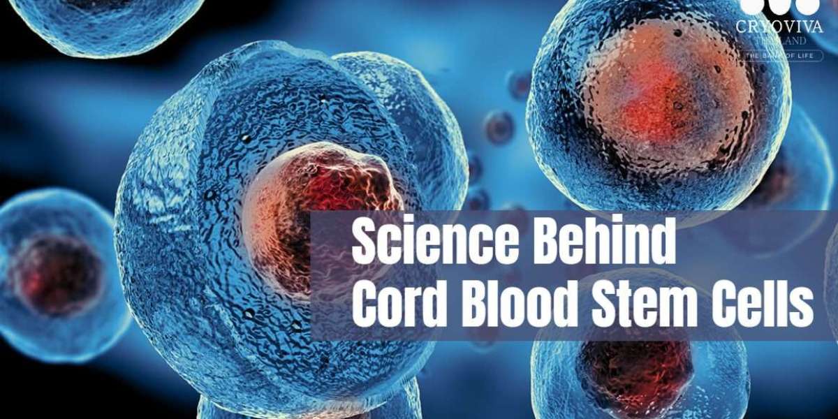 Understanding the Science Behind Stem Cells