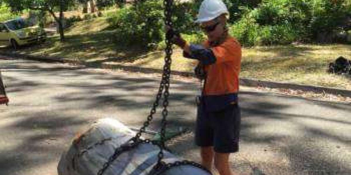 Precision Pruning Perfection: Sydney's Choice for Local Tree Trimmers