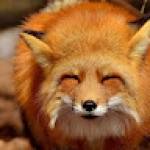 Extremal Fox