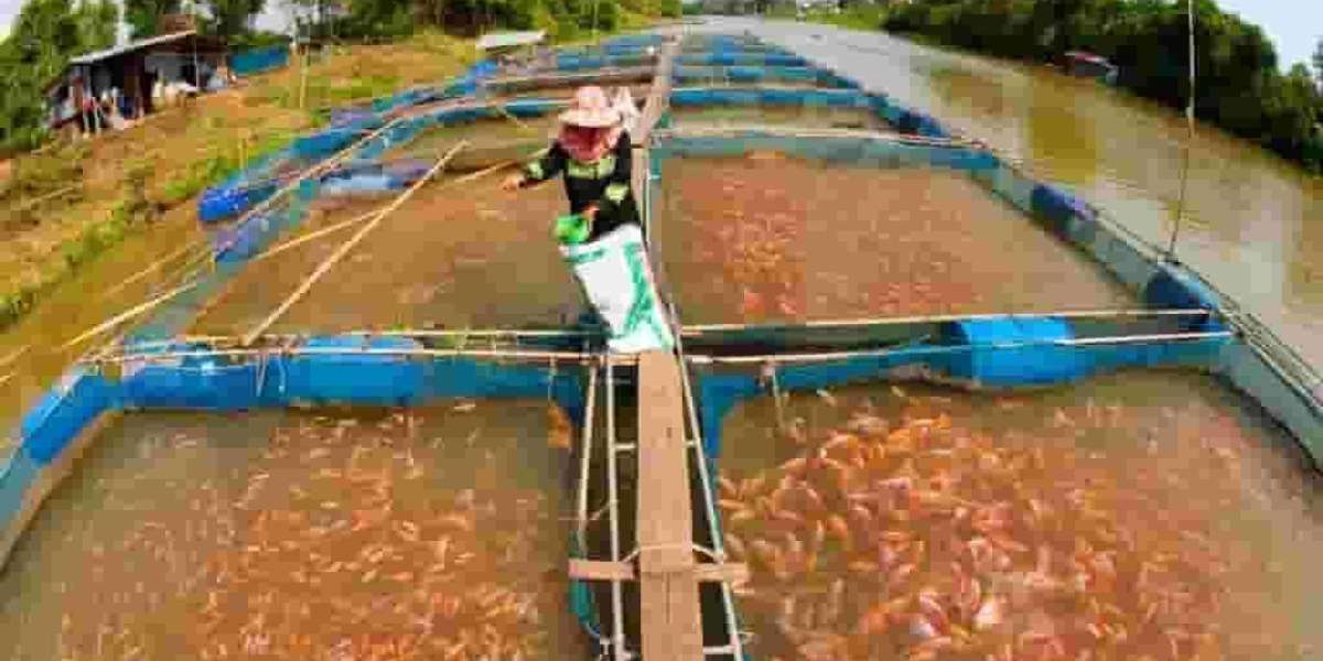 Fish Farming Manufacturing Plant Project Report 2023: Raw Materials Requirements, Manufacturing Process, Plant Cost and 