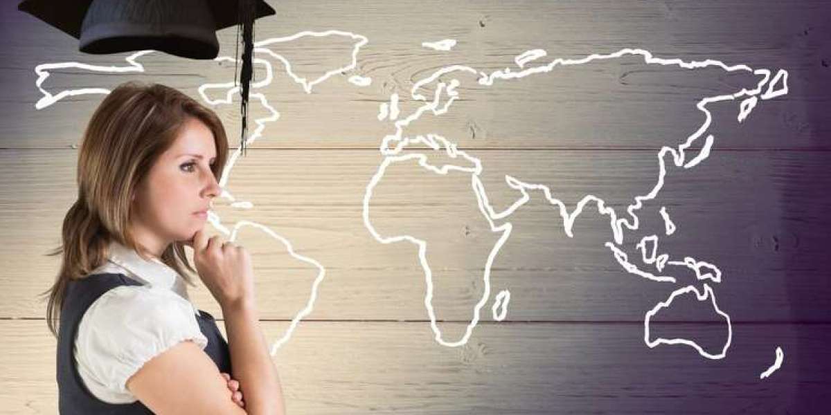 The Impact of Study Abroad Consultants on Academic and Career Development
