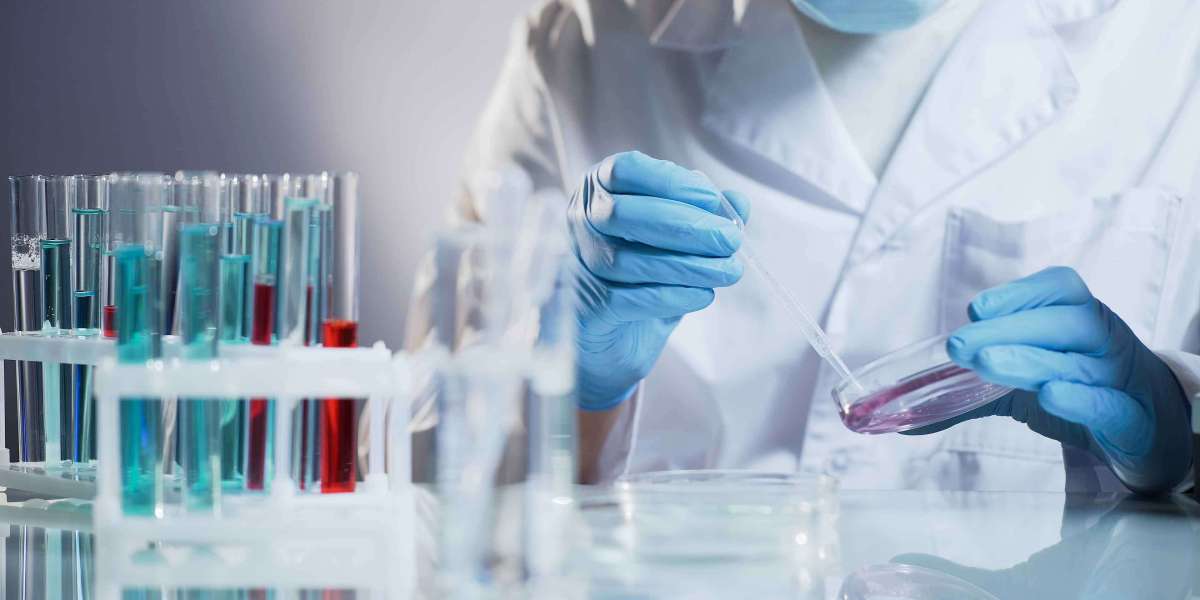 Unveiling the Future: The In-Vitro Toxicology/Toxicity Testing Market Set to Surge at a 9% CAGR, Reaching $14.4 Billion 