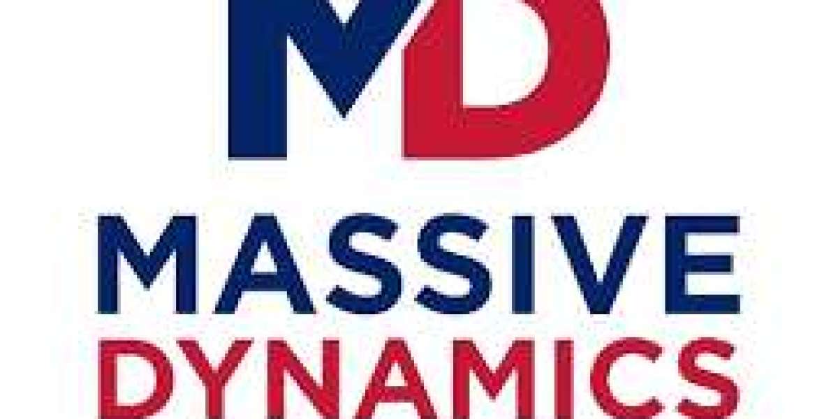 "Massive Dynamics USA: Pioneering Innovation in a Rapidly Changing Tech Landscape"