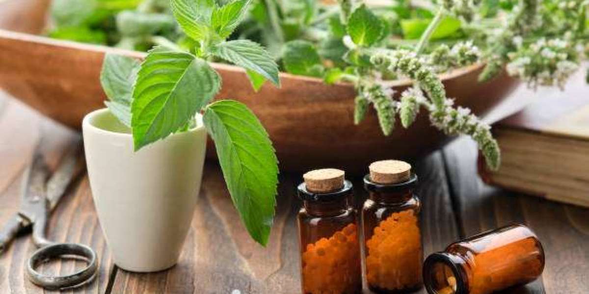 Discovering the Art of Healing: Homeopathy Treatment
