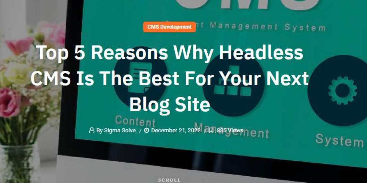 Top 5 Reasons Why Headless CMS Is The Best For Your Next Blog Site