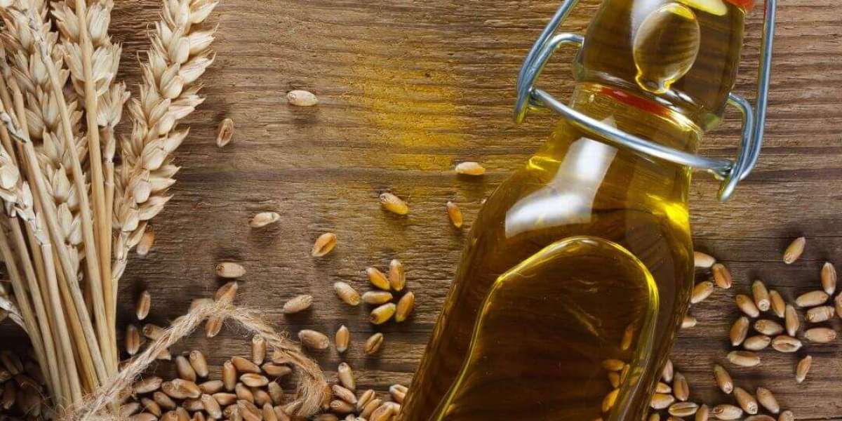 Wheat Germ Oil Market Size, Share, Industry Trends, Growth, Forecast 2023-2028