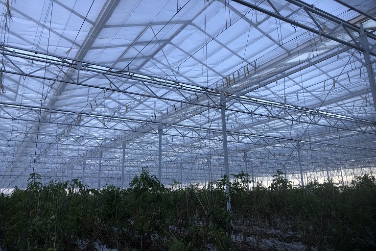 Greenhouse Installation Specialist | Glass house construction
