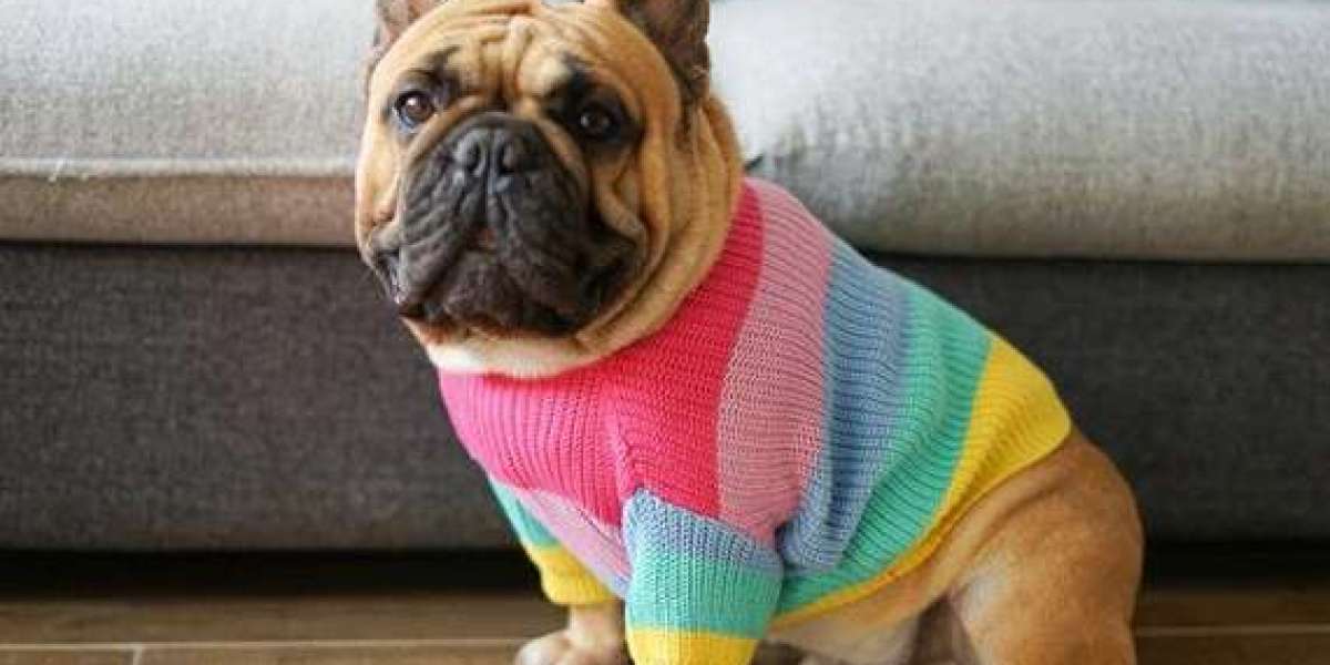 Pet Clothing Market Insights, Trends, Growth, Forecast, and Report 2023-2028