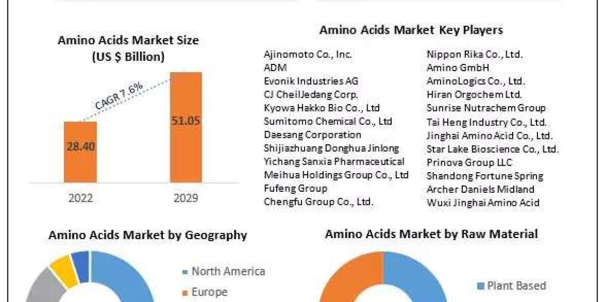 Amino Acids Market Industry Outlook, Size, Growth Factors and Forecast  2029