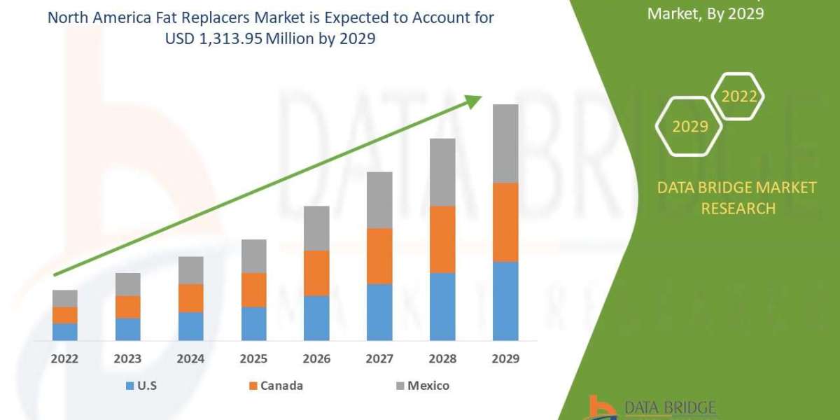 North America Fat Replacers Market Size, Market Growth, Competitive Strategies, and Worldwide Demand